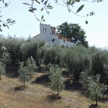 דירה Il Poggio Degli Ulivi Umbria *