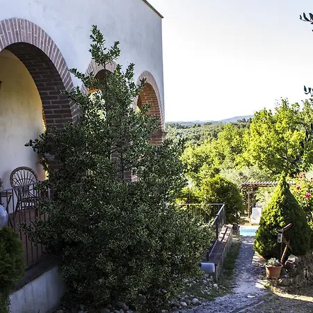 Il Poggio Degli Ulivi Umbria Apartament Montecastrilli